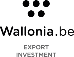 logo Wallonia Export Investment