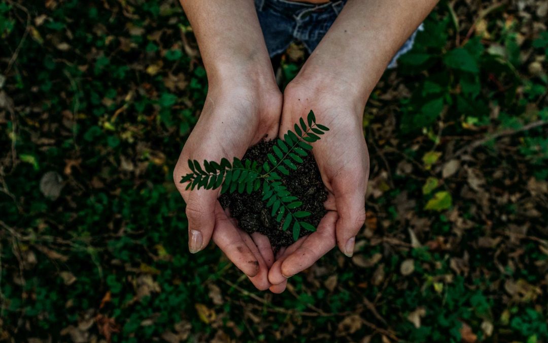 Huitième programme d’action pour l’environnement de l’AEE : résultats de suivi en 2023